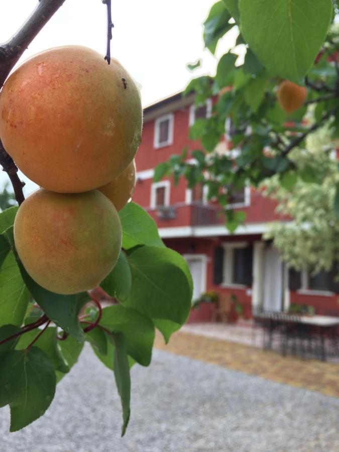 B&B Casa Del Conte Soligo Екстериор снимка