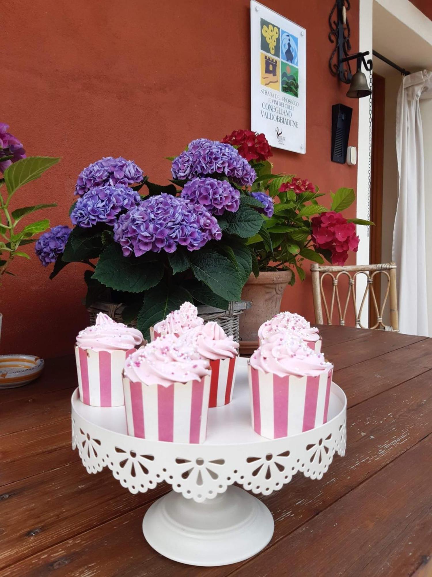 B&B Casa Del Conte Soligo Екстериор снимка