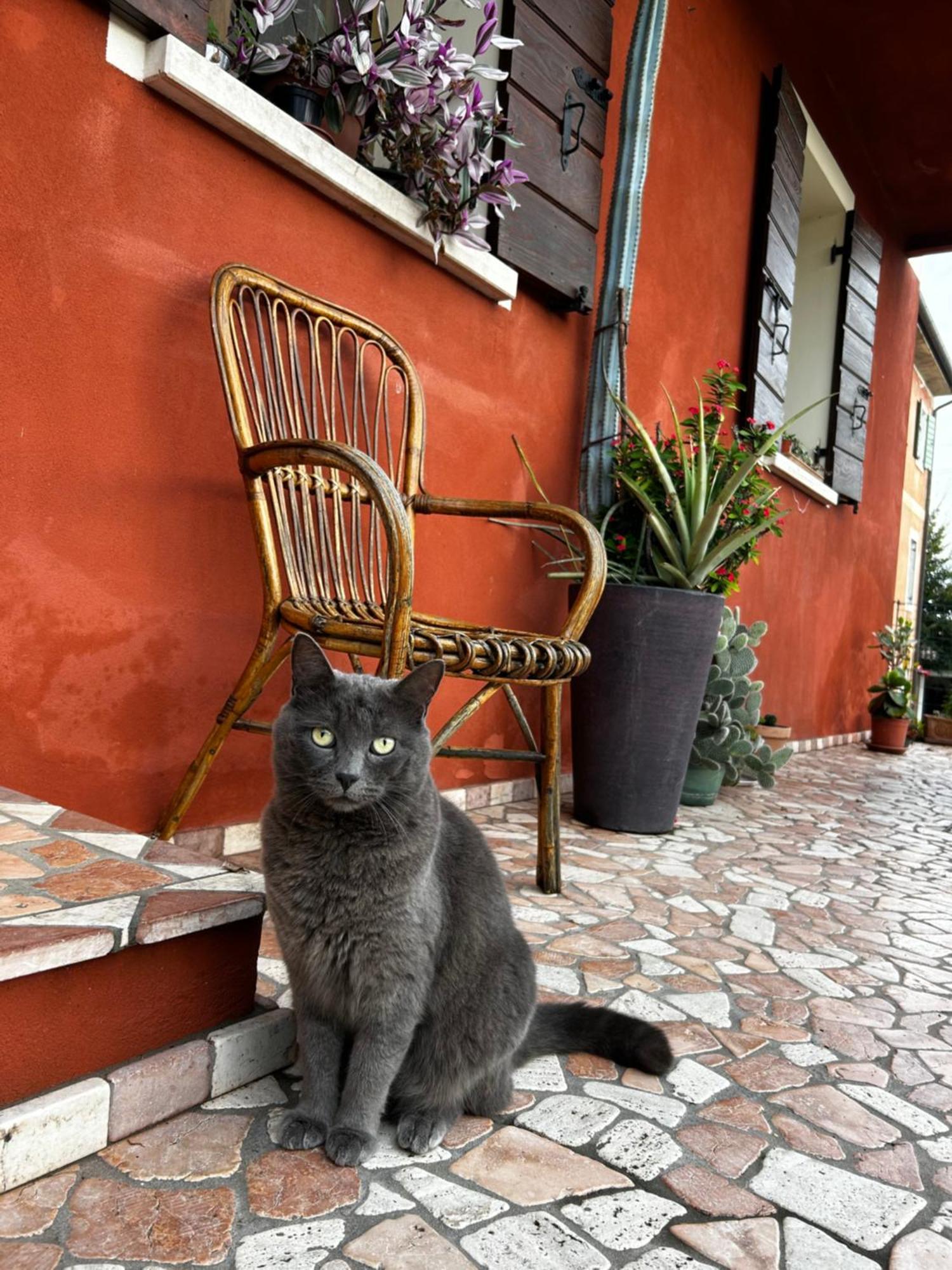 B&B Casa Del Conte Soligo Екстериор снимка